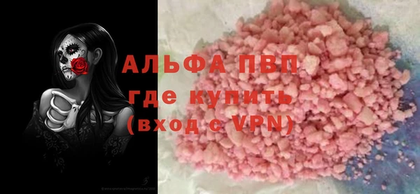 спиды Горняк