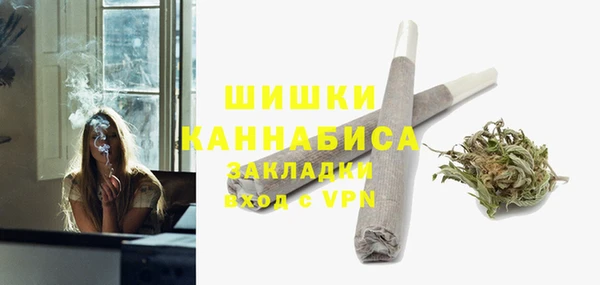 спиды Горняк