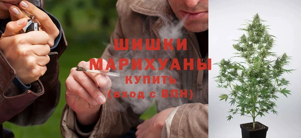хмурый Вязьма