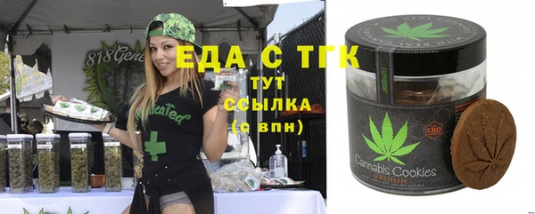спиды Горняк