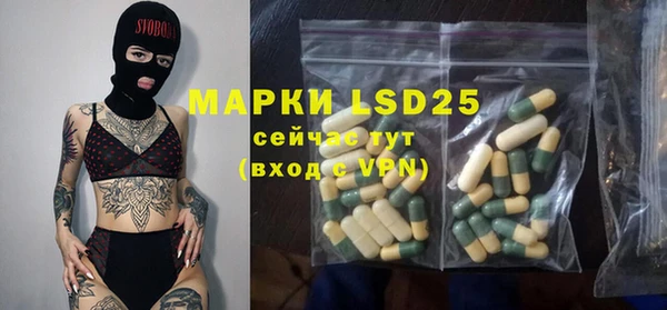 винт Вяземский