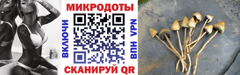 Галлюциногенные грибы ЛСД  где можно купить наркотик  Ува 